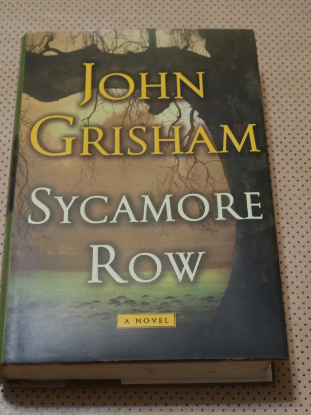 John Grisham Sycamore Row Book